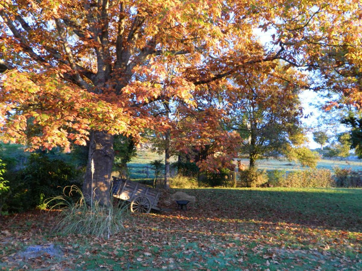 Centre De Bien-Etre Et Ses Chambres D'Hote Villeneuve-de-Rivière Eksteriør billede